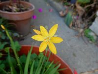 13 1n130 2019 039_resize.jpg