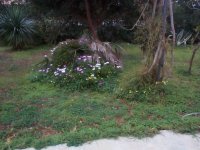DCP14935 chamadorea y dimarfotecas.JPG