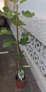 IMG_20230829_142603_1_Original-dsqz.jpeg