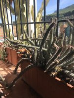 IMG_7292 copia.jpg