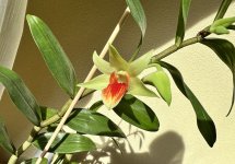 IMG_6634.jpeg
