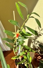 IMG_6637.jpeg