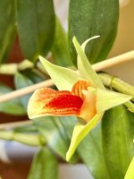 IMG_6572.jpeg