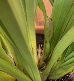 IMG_6922.jpeg