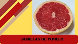 GADESPLANT_IMAGEN_DESTACADA_37.jpg GADESPLANT_IMAGEN_DESTACADA_37.jpg