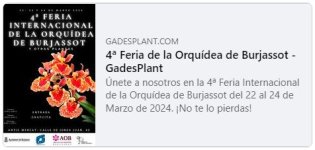 GADESPLANT-4ªFERIA_BURJASSOT.jpg GADESPLANT-4ªFERIA_BURJASSOT.jpg