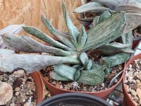 1714404776549.jpeg