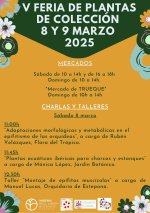 feria plantas cordoba.jpg feria plantas cordoba.jpg