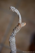 2018-08-18_0120759_d800.jpg 2018-08-18_0120759_d800.jpg