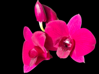 20251109_155653_1_-removebg-preview.png
