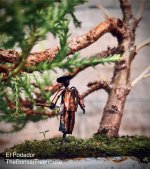 IMG_6235.jpeg