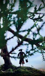 IMG_6224.jpeg