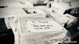 IMG_7037.jpeg