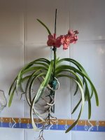 IMG_3187.jpeg
