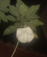 IMG_20230406_190051_656~2.jpg