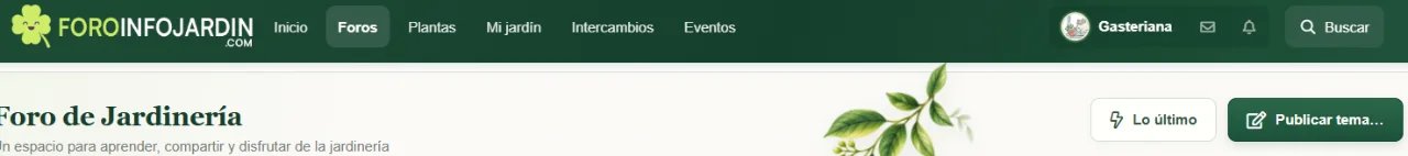 fotografia.webp fotografia.webp