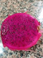 Pitaya Jindu 1, mitad (19.09.26) 1.webp Pitaya Jindu 1, mitad (19.09.26) 1.webp