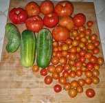 huertp12.webp