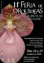 fotografia.webp