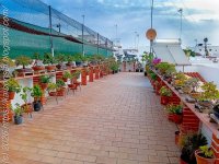 Jardín de Kai