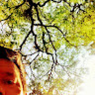 Marshy