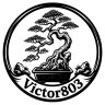 Victor803